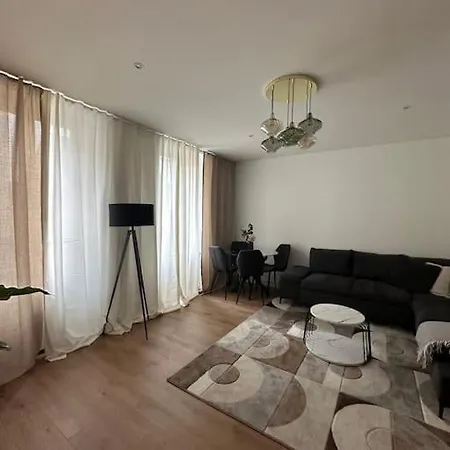 & Cosy Idealement Situe Appartement Mulhouse